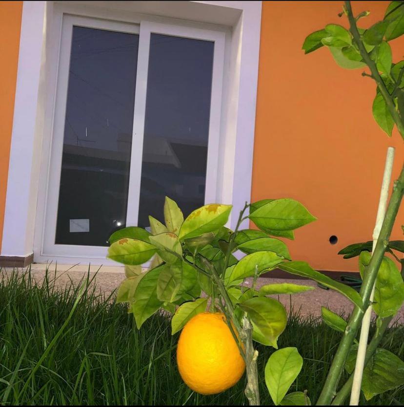 Orange Guest House Sagres Ngoại thất bức ảnh