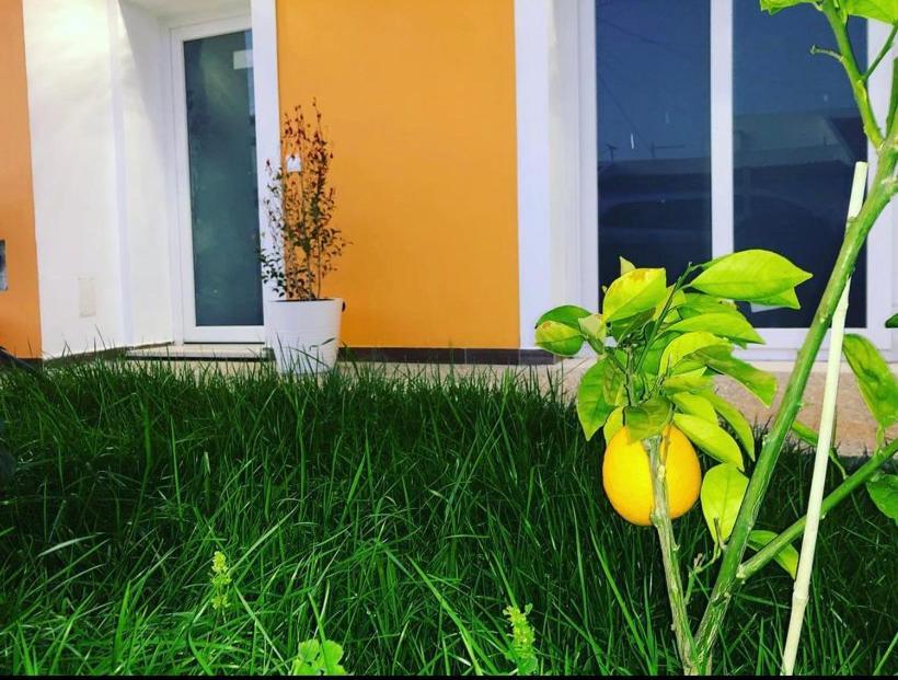 Orange Guest House Sagres Ngoại thất bức ảnh